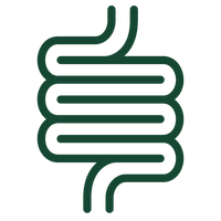 Digestion